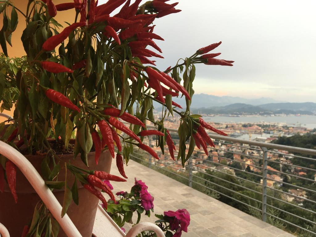 Casa rural La Pietra *